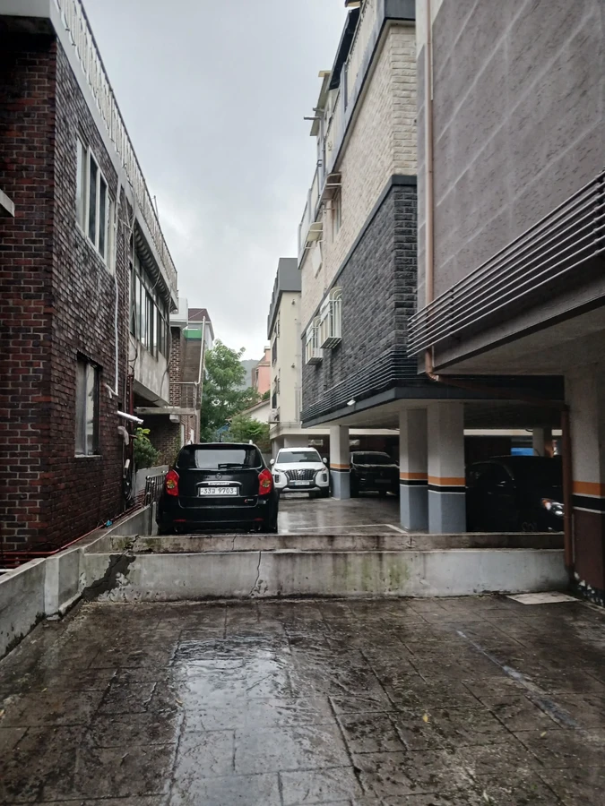 벌목