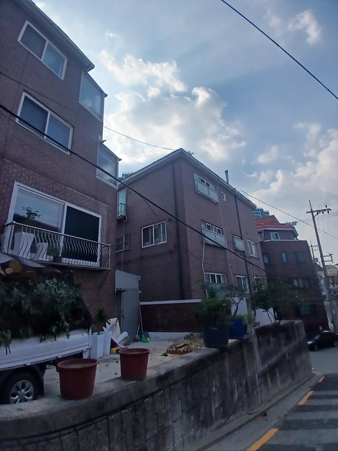 벌목