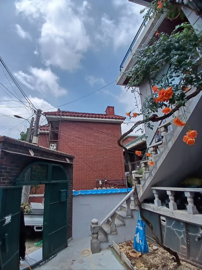 벌목