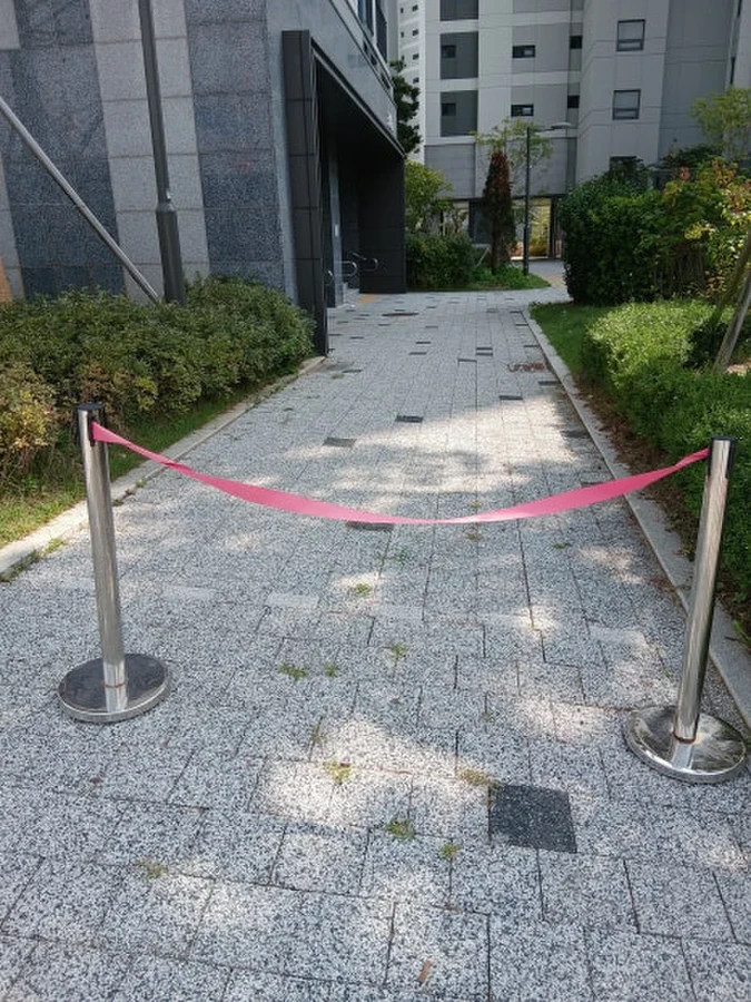 볼라드