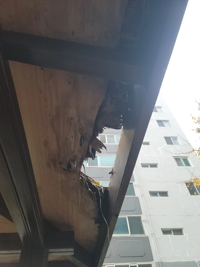 파고라지붕수리