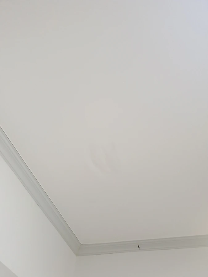 부분도배