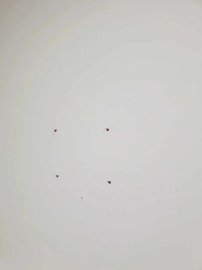 부분도배