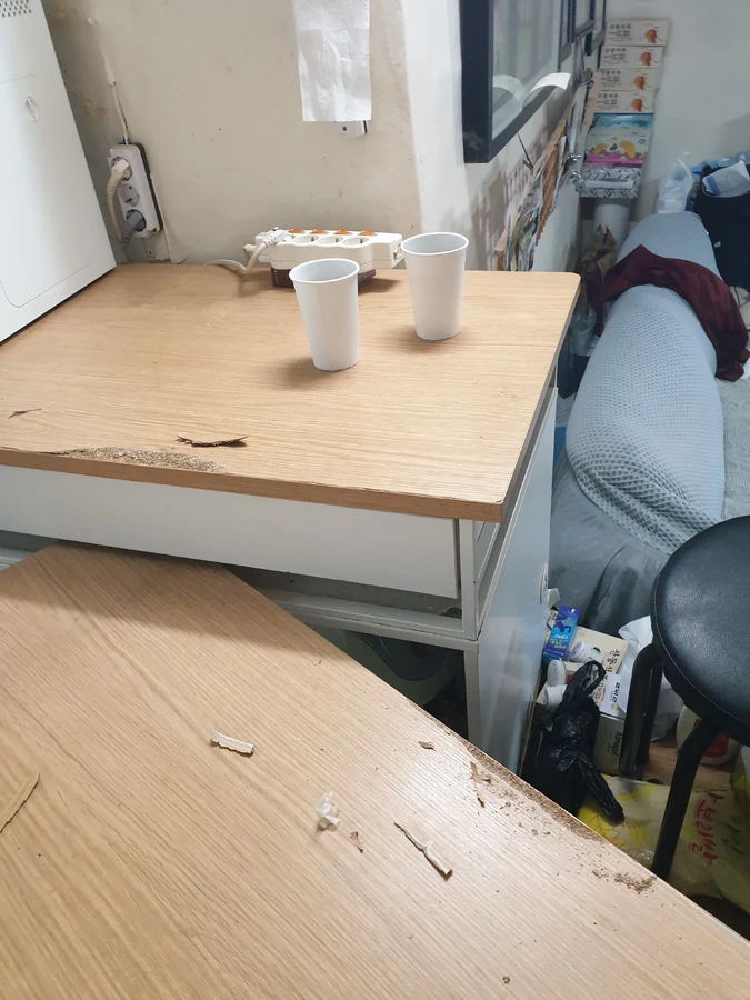 필름시공