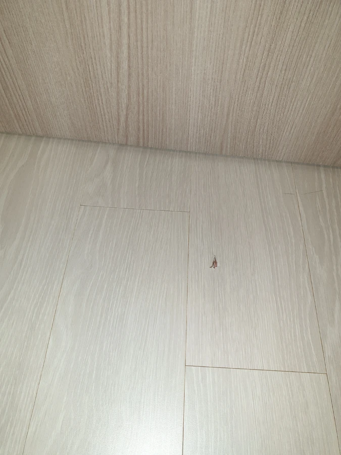 마루복원