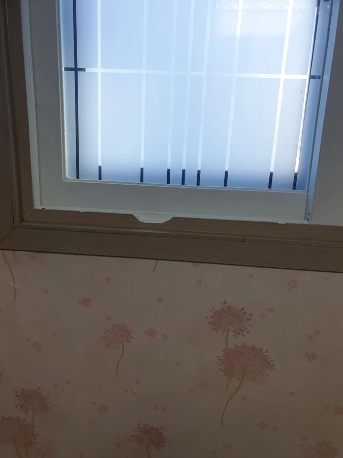 필름시공