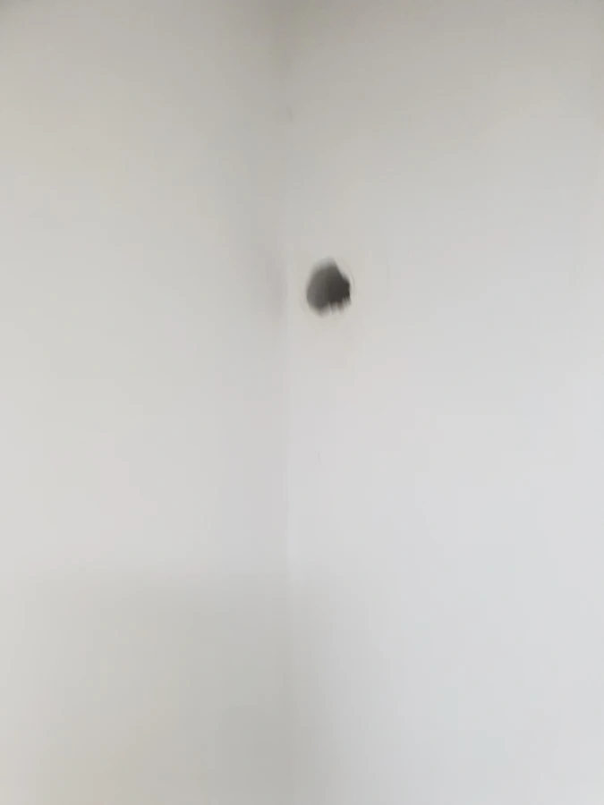 부분도배