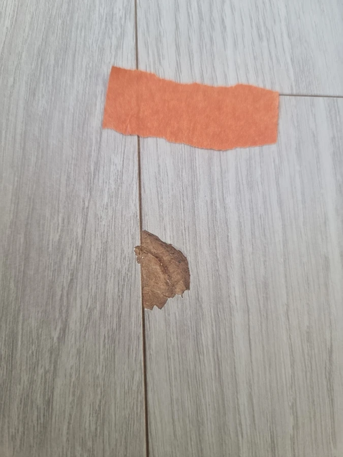 마루복원
