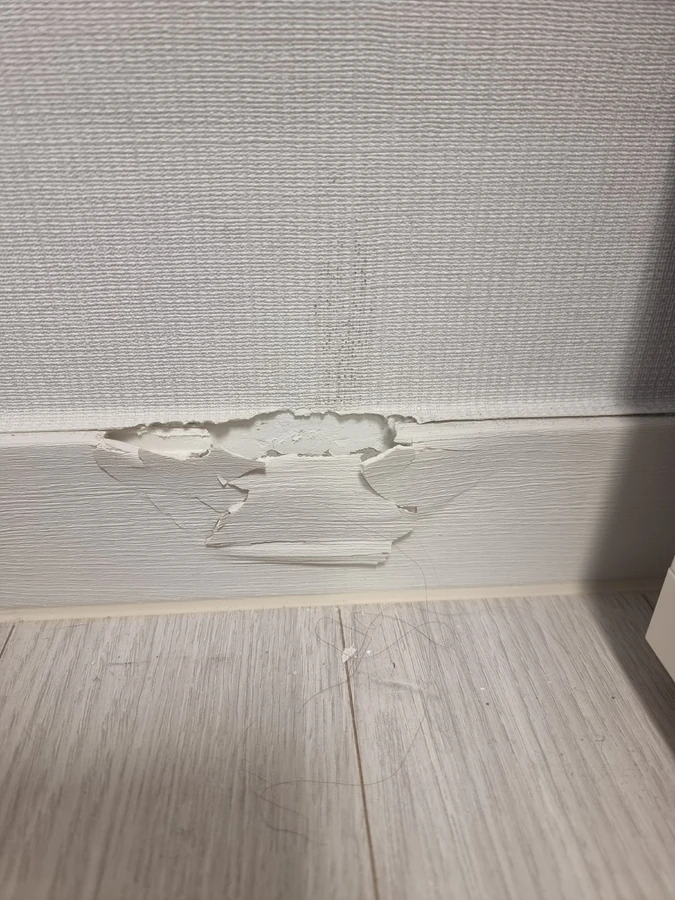 걸레받이복원