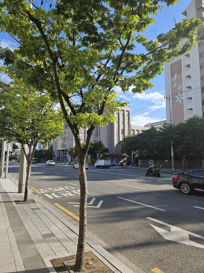 점포철거폐업지원금전문