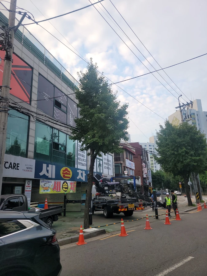 벌목