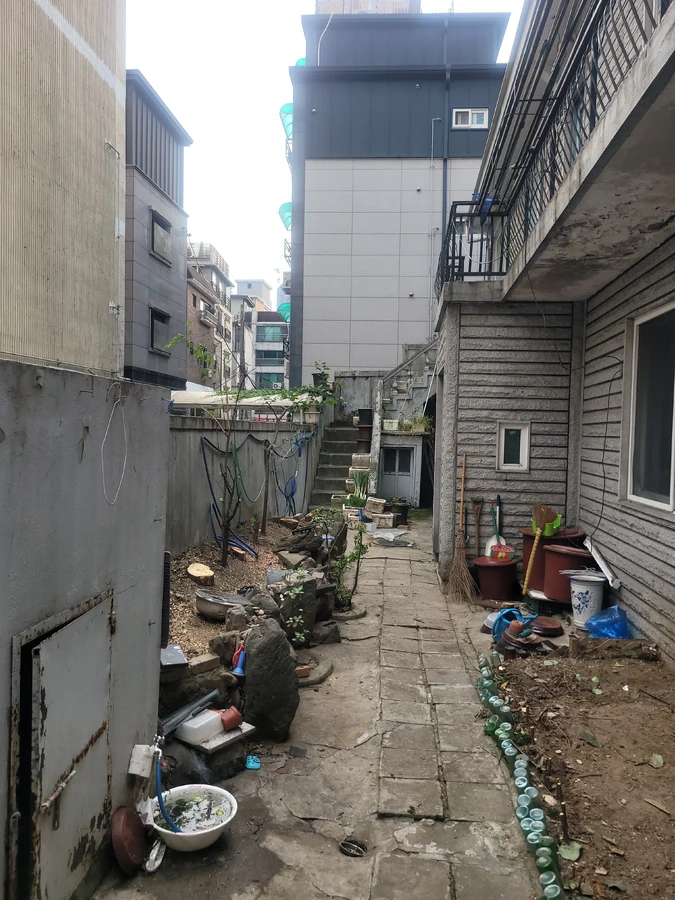 벌목