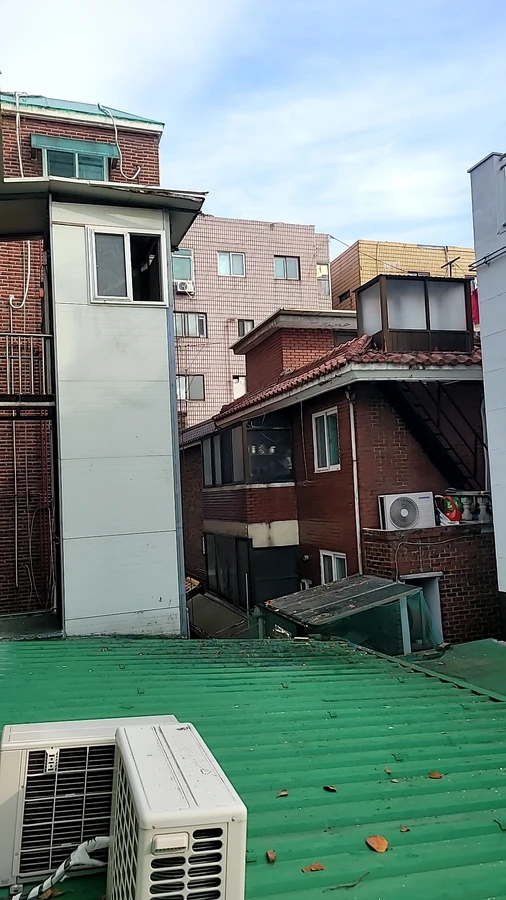 벌목