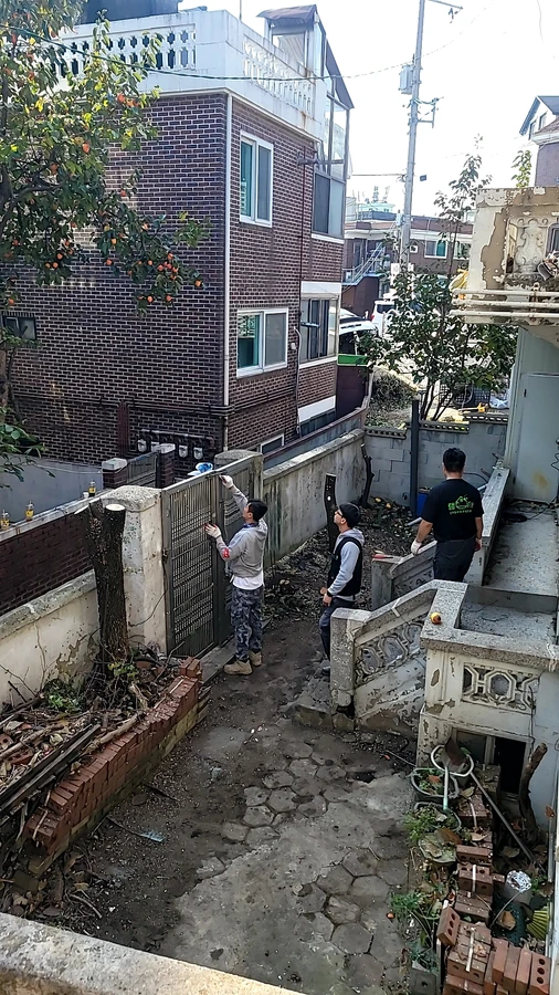 벌목