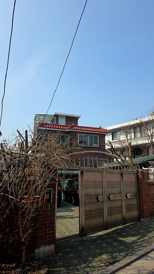 벌목
