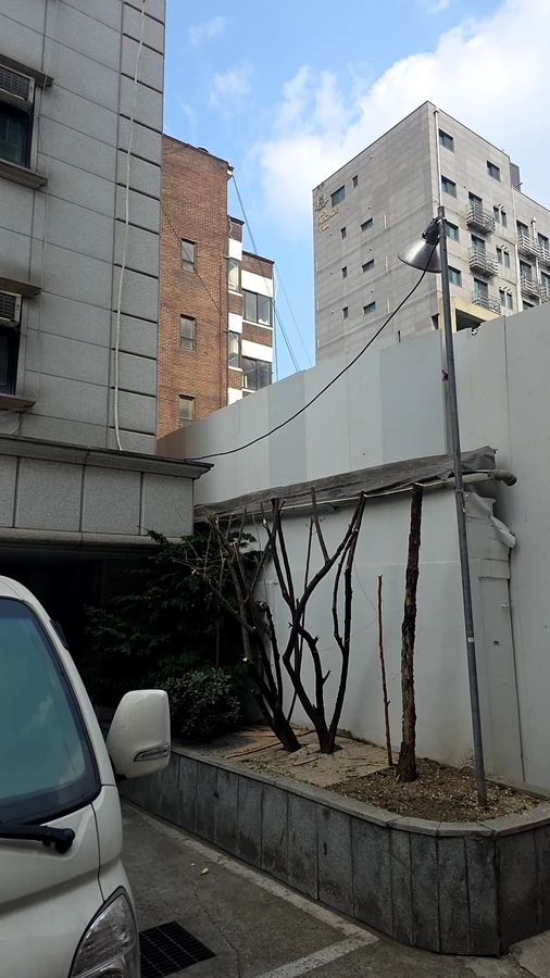 벌목