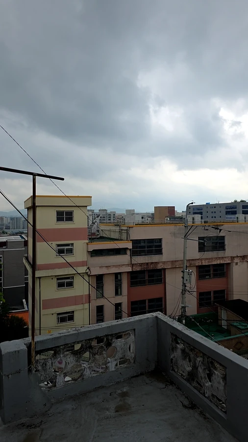 벌목