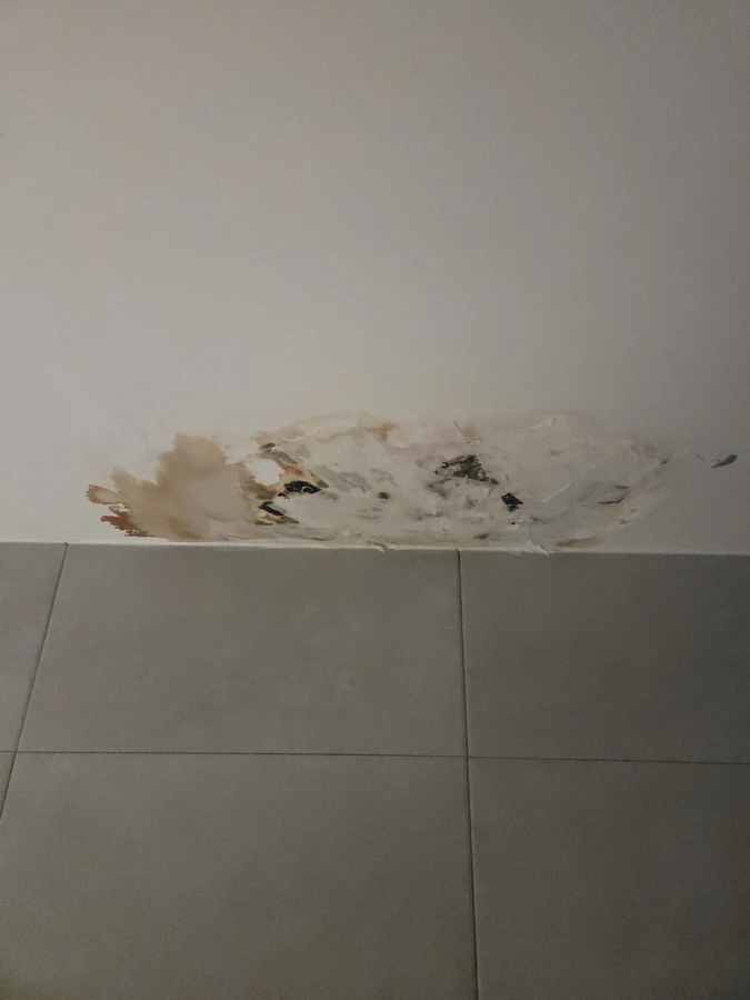 천장보수