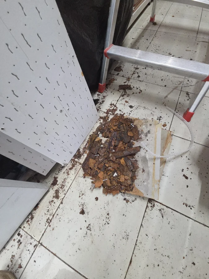 천장보수