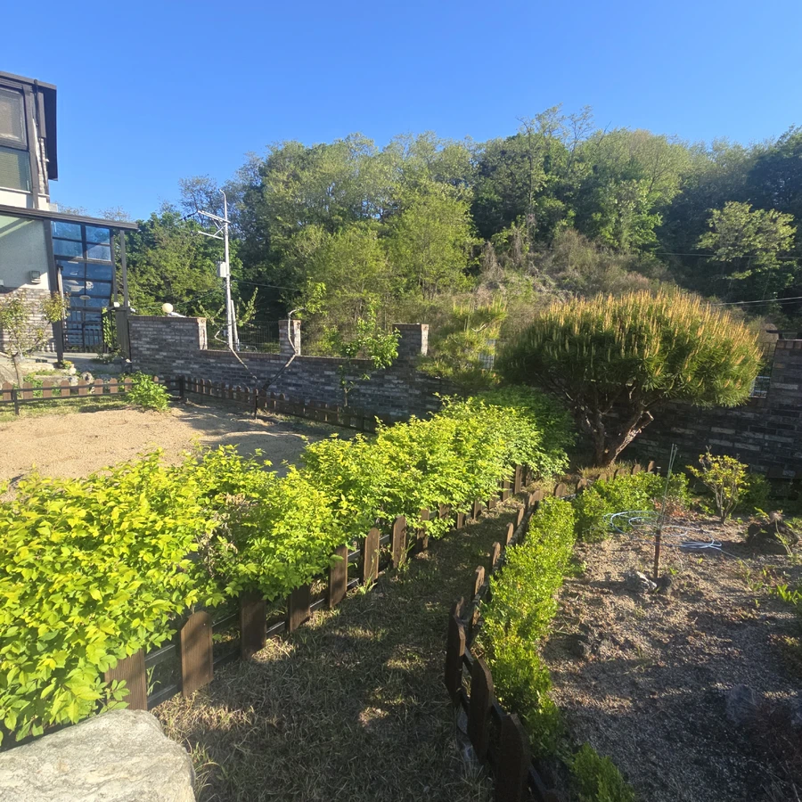 나무전지및벌목
