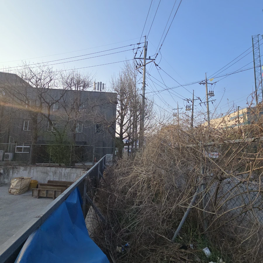 나무전지및벌목