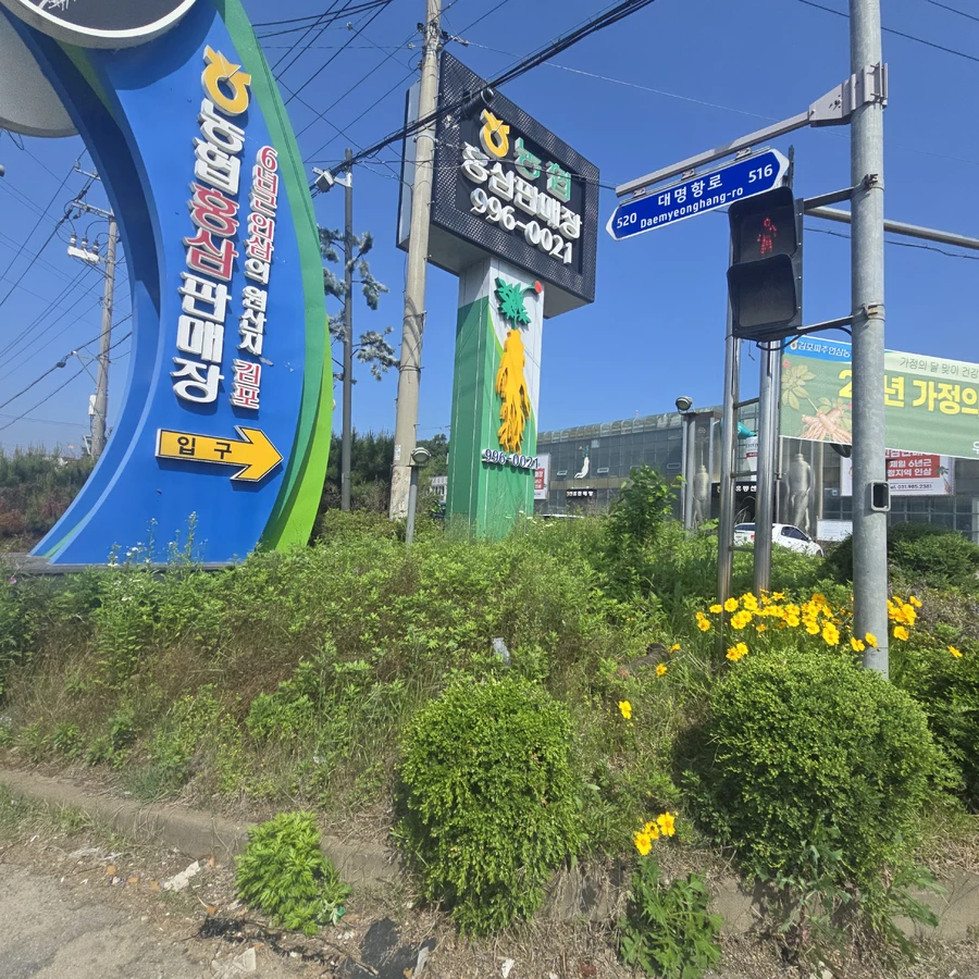 예초및벌초