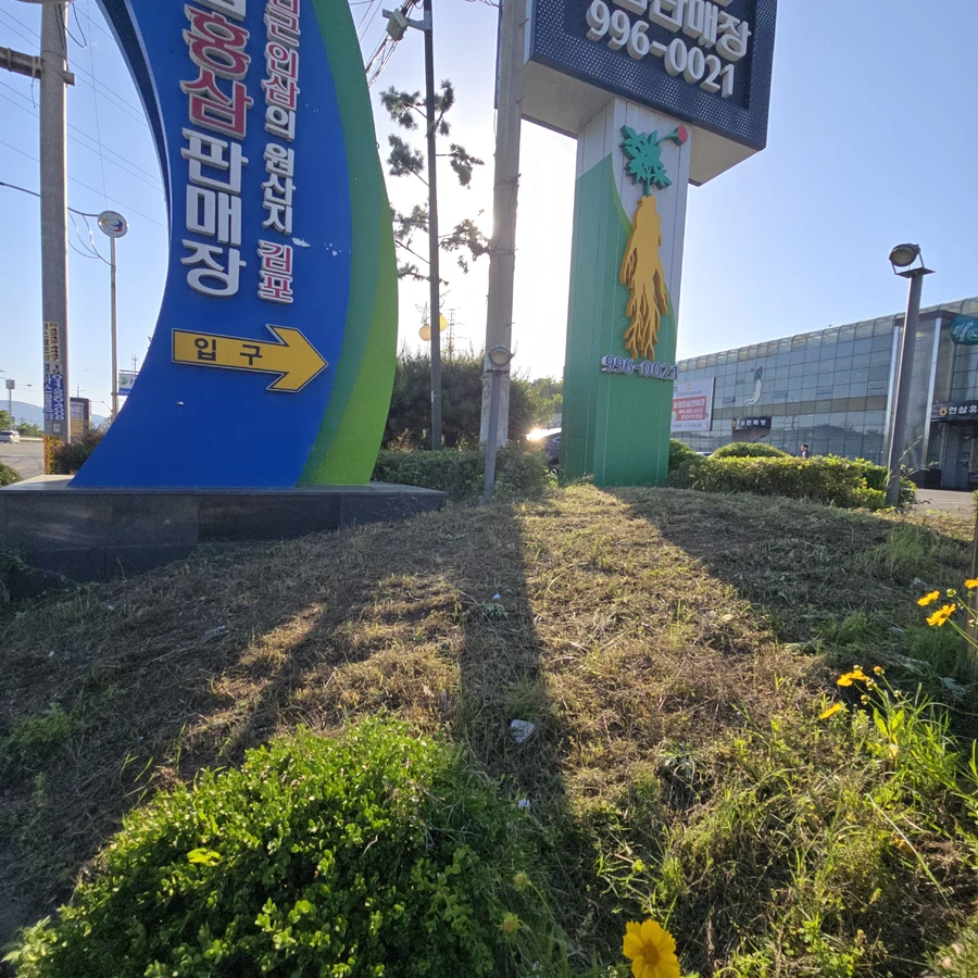 예초및벌초