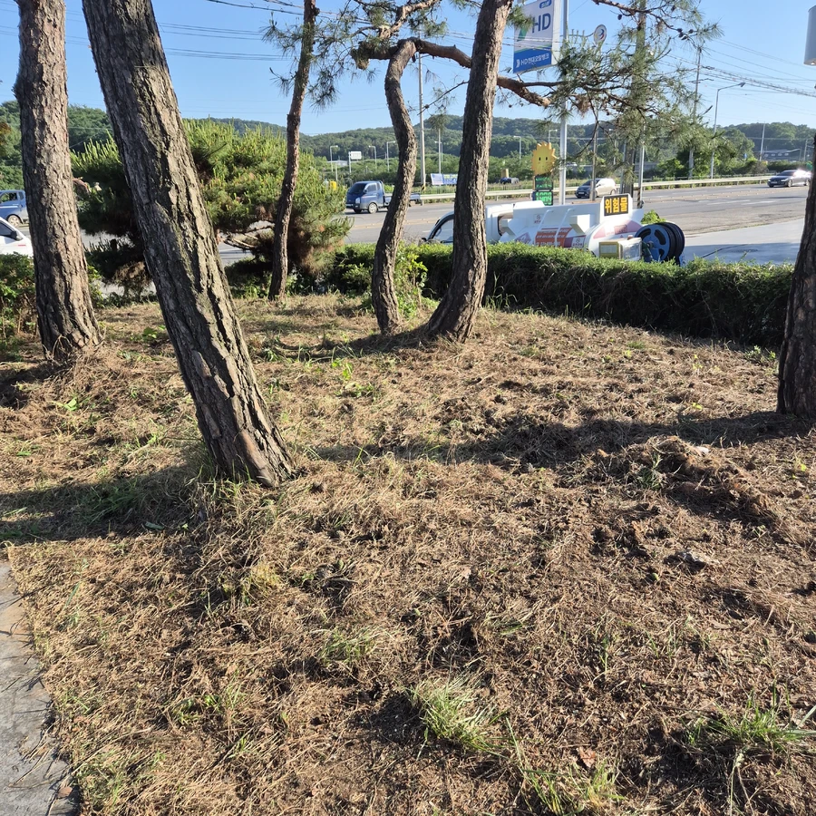 예초및벌초