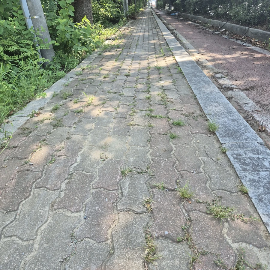 보도블럭