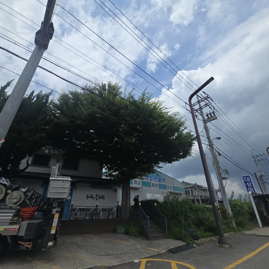 나무전지및벌목
