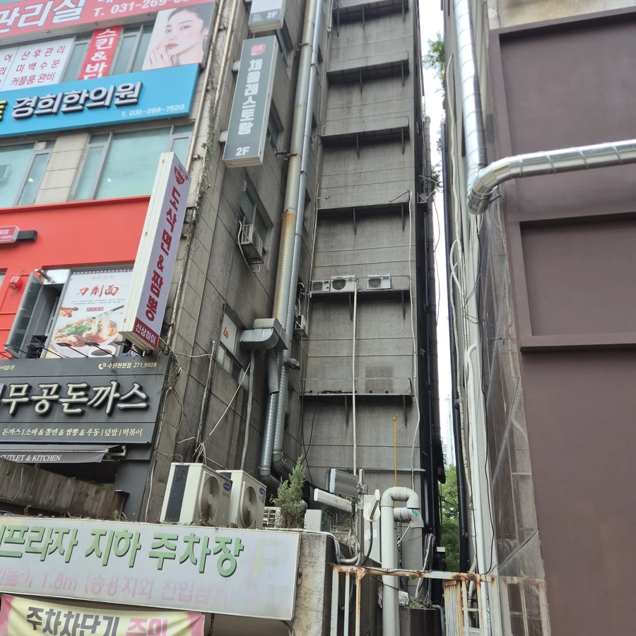 나무전지및벌목