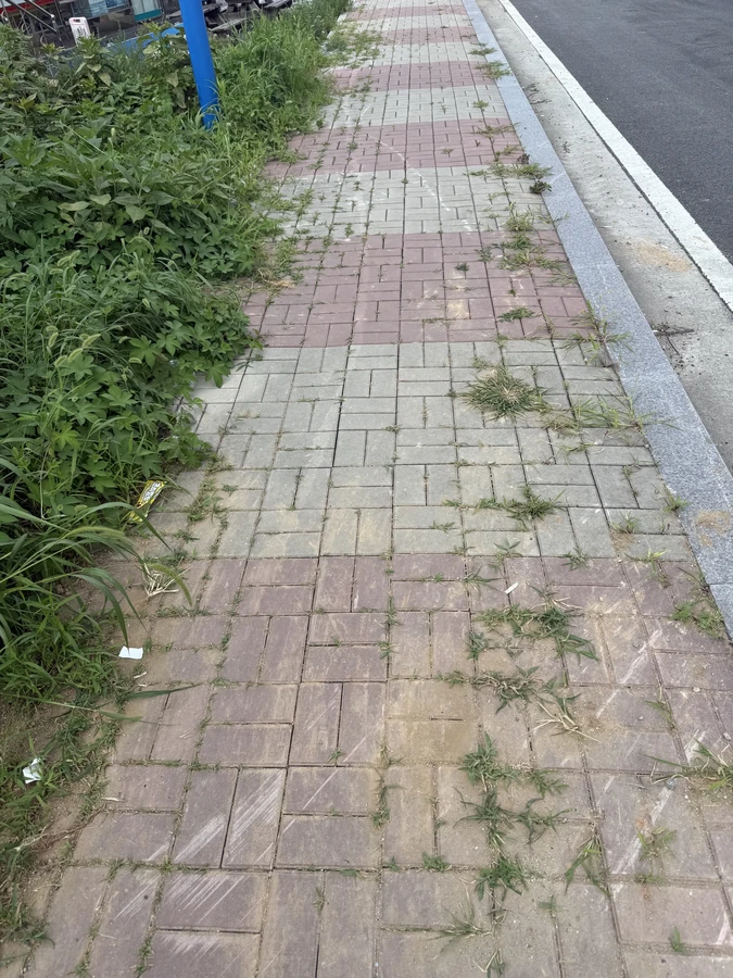 보도블럭
