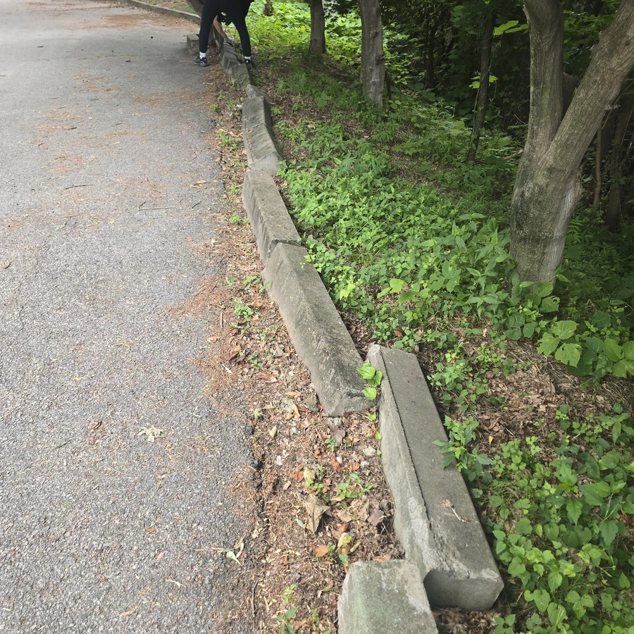 보도블럭