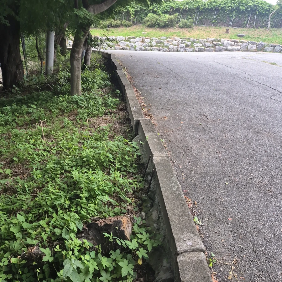 보도블럭