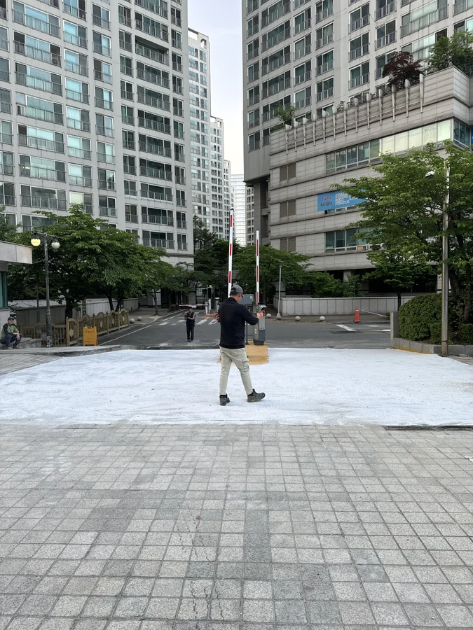 보도블럭