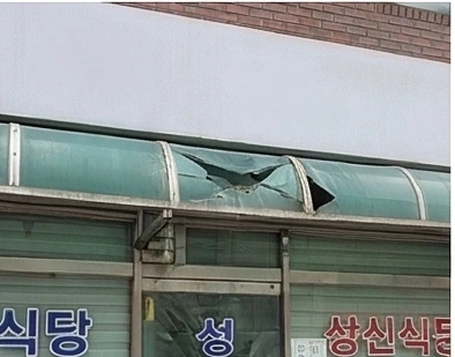 렉산