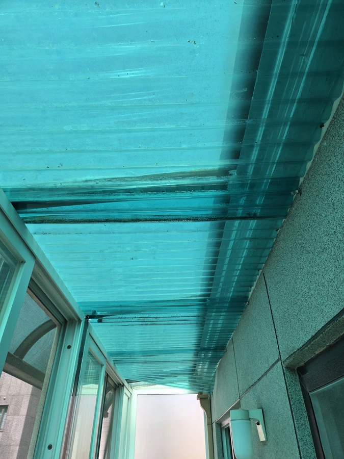 렉산