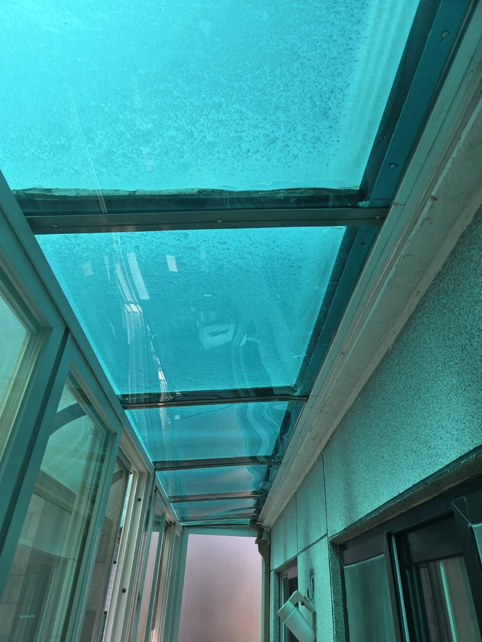 렉산