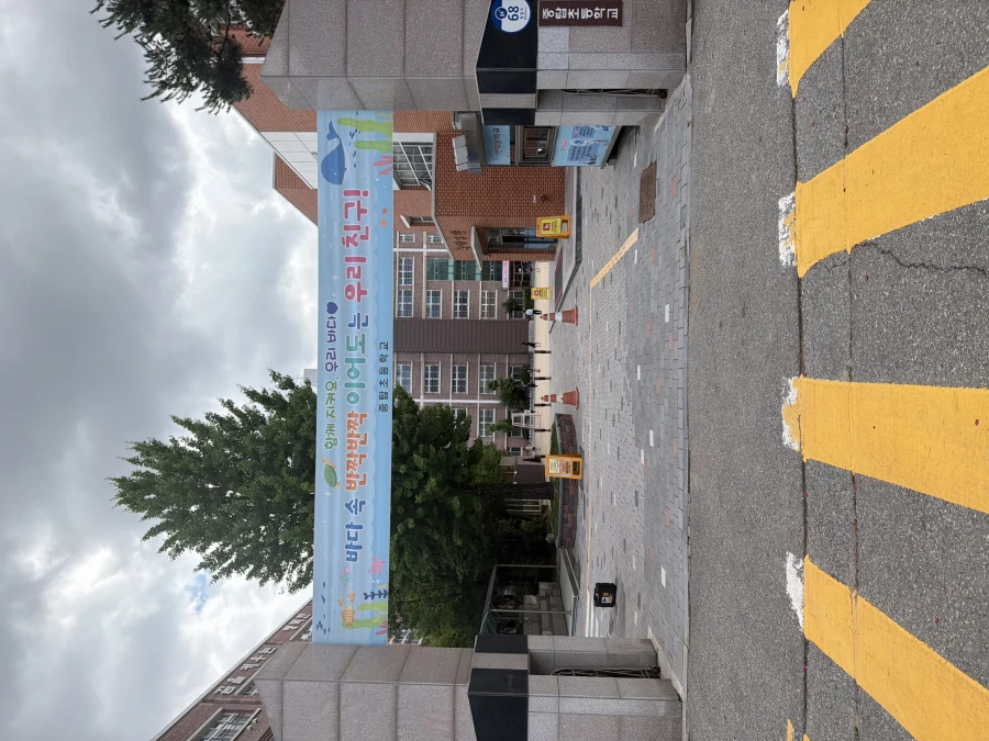 반사경