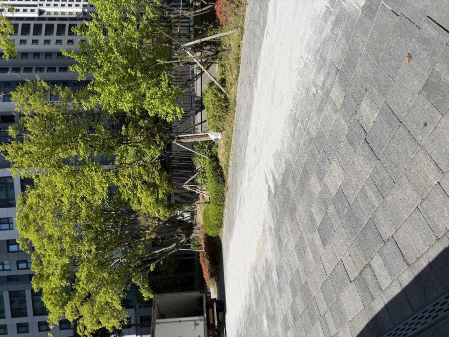 보도블록