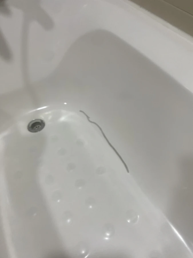 욕조복원