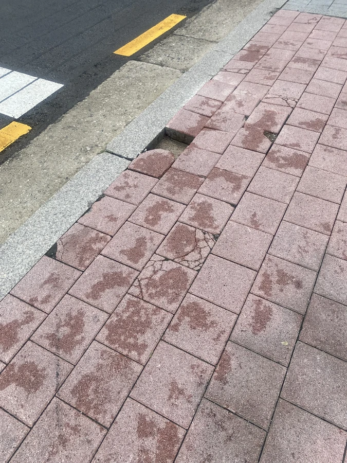 보도블럭