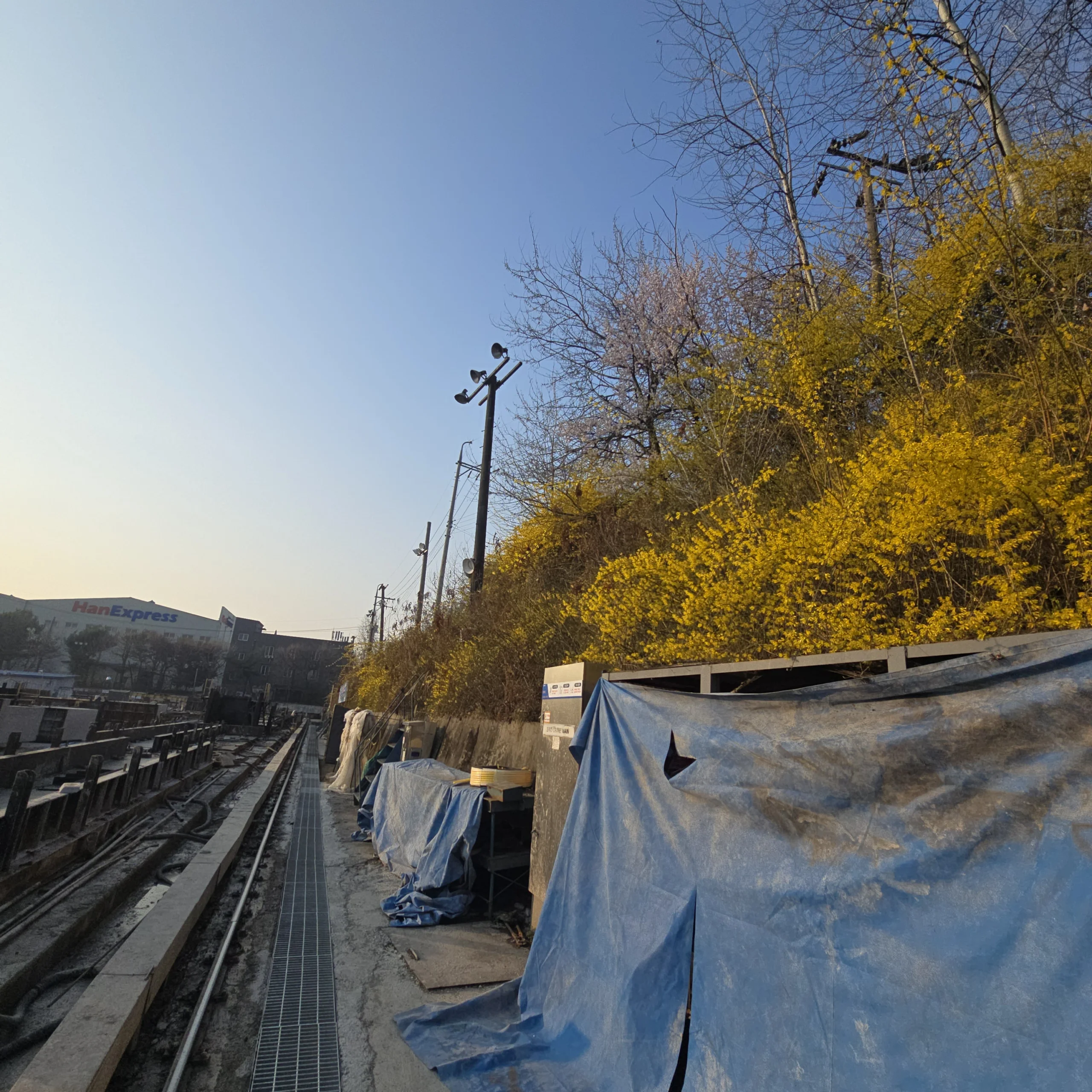 시공 전 - 평택 공장울타리 개나리덩쿨제거 집사픽스