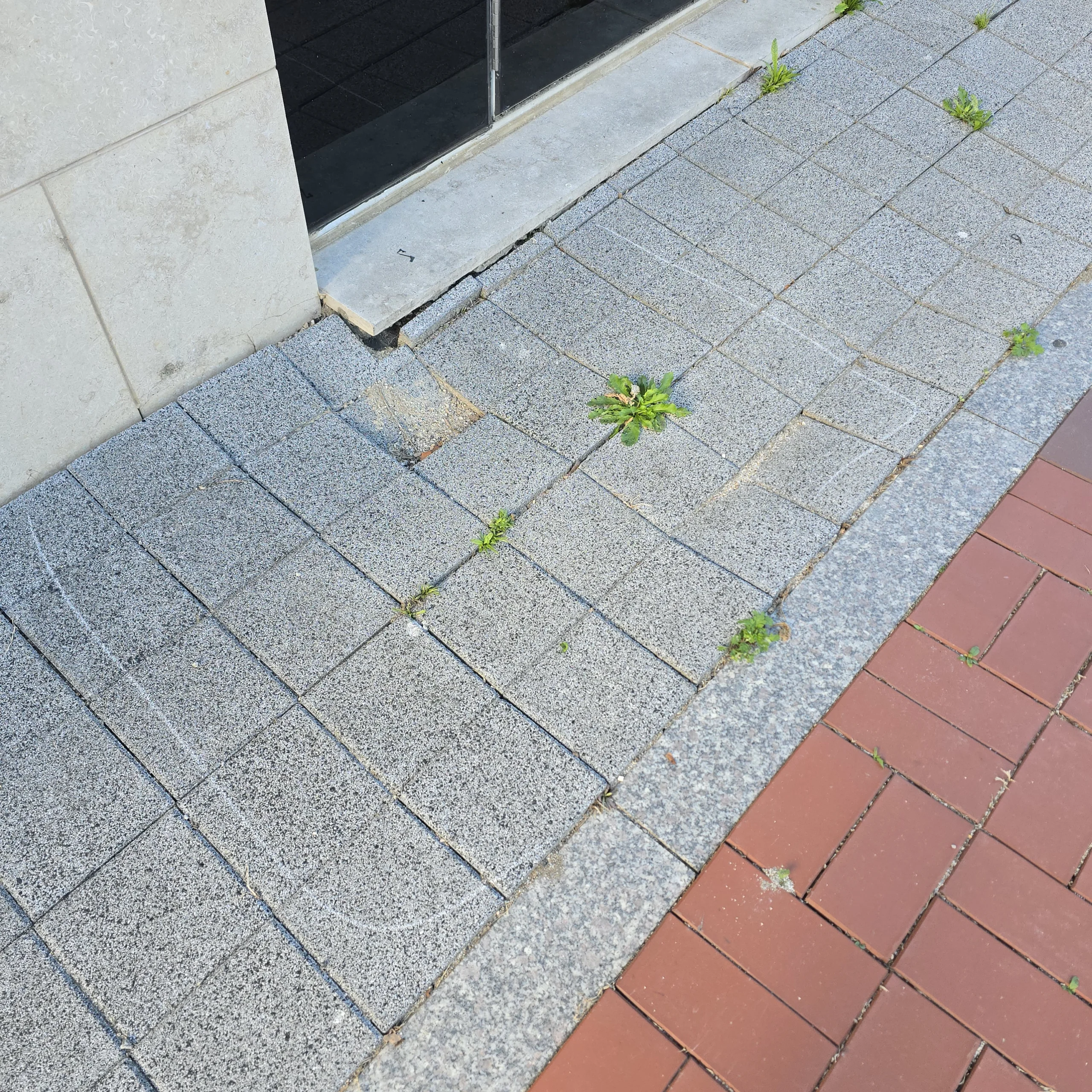 시공 전 - 회사 앞 보도블럭 부분 보수 집사픽스