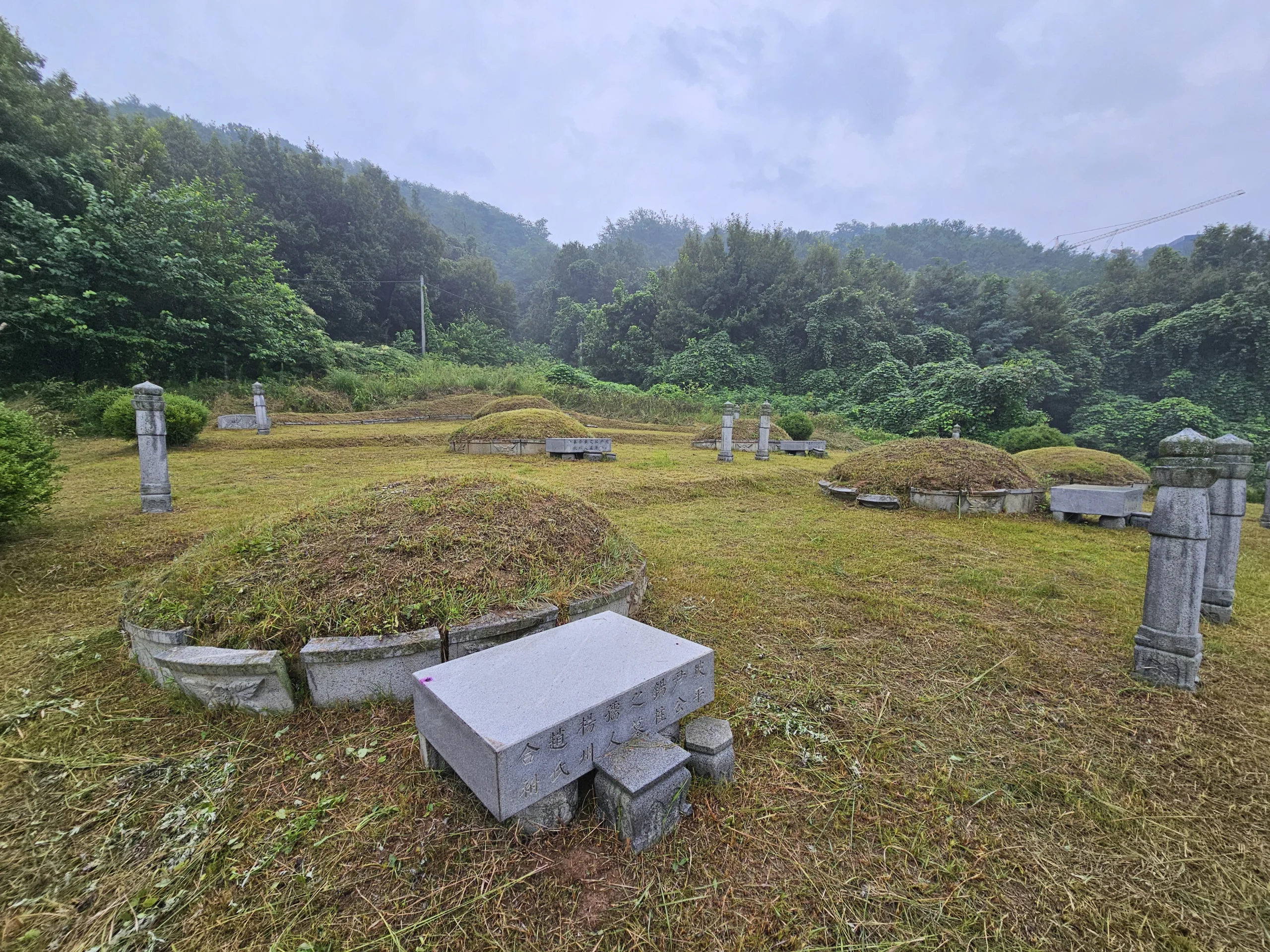 시공 후 - 시흥 산소 벌초 — 명절 전 무릎까지 자란 잡초 말끔히 집사넘버원