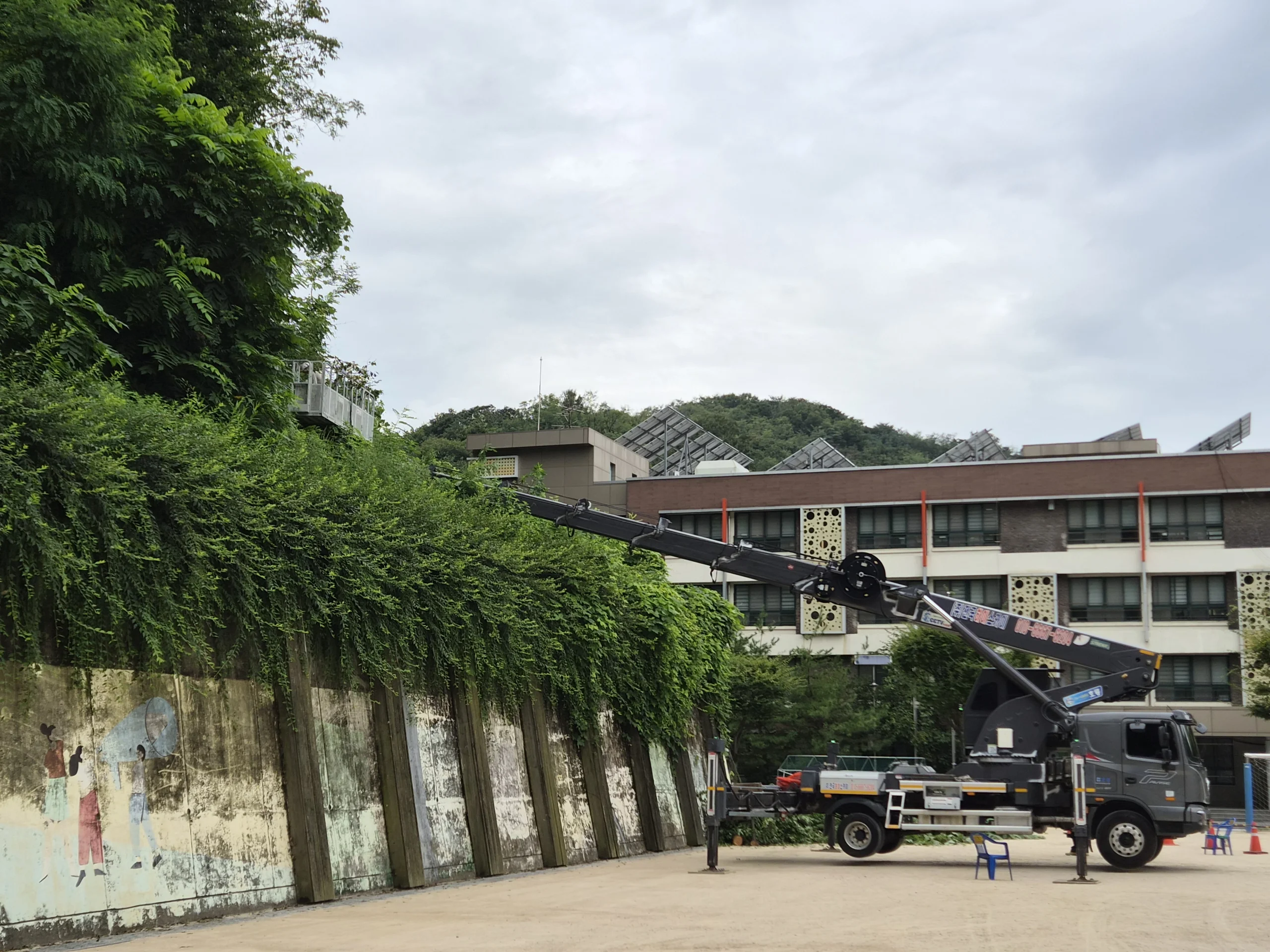 시공 후 - 개학 전 학교 교정 나무전지 — 건물 인접 가지·보행로 정리 집사넘버원