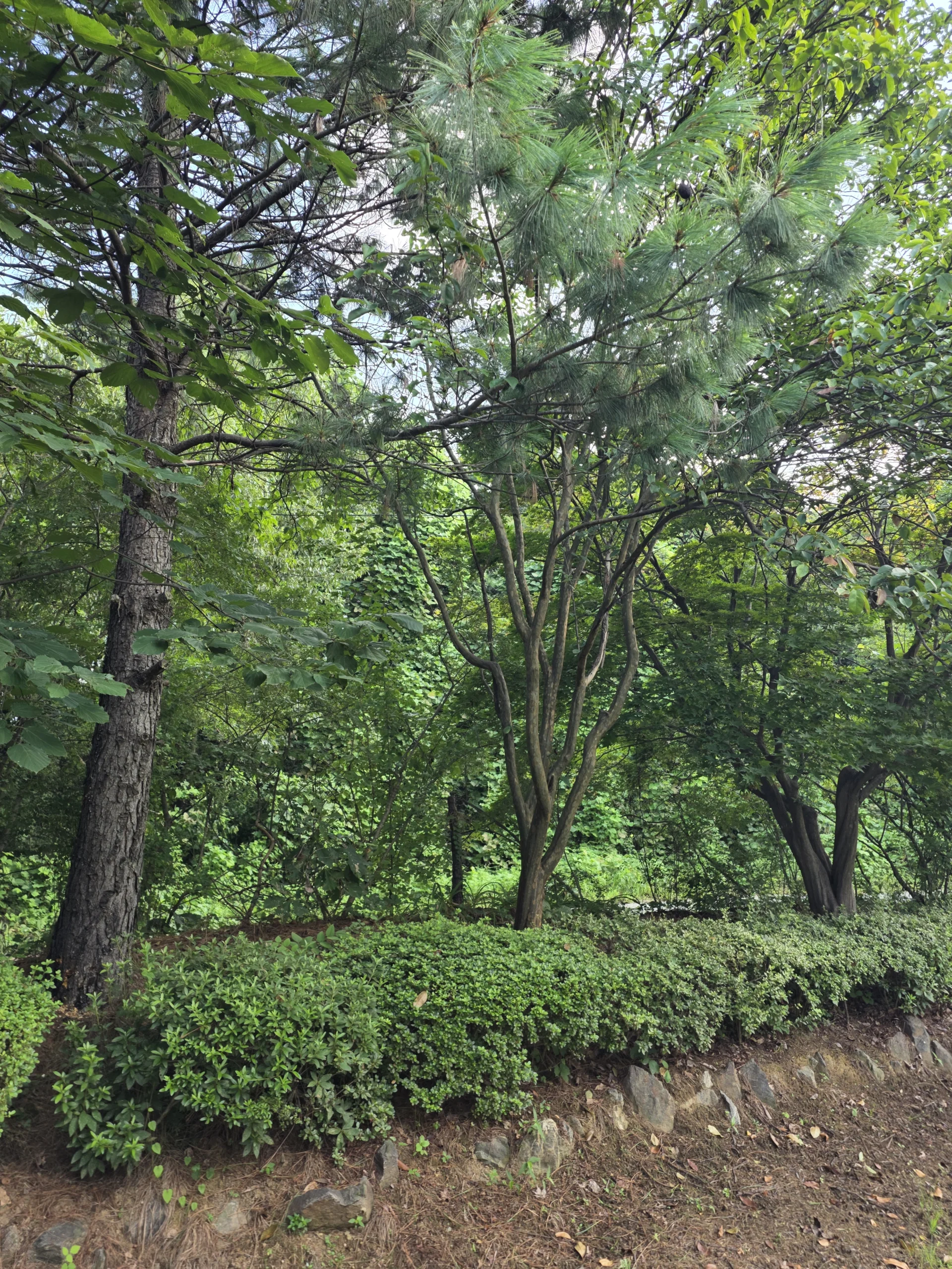 시공 전 - 인천 욕실 바닥 타일 보수 – 전지 절단으로 기존 패턴에 딱 맞춘 시공 집사나우