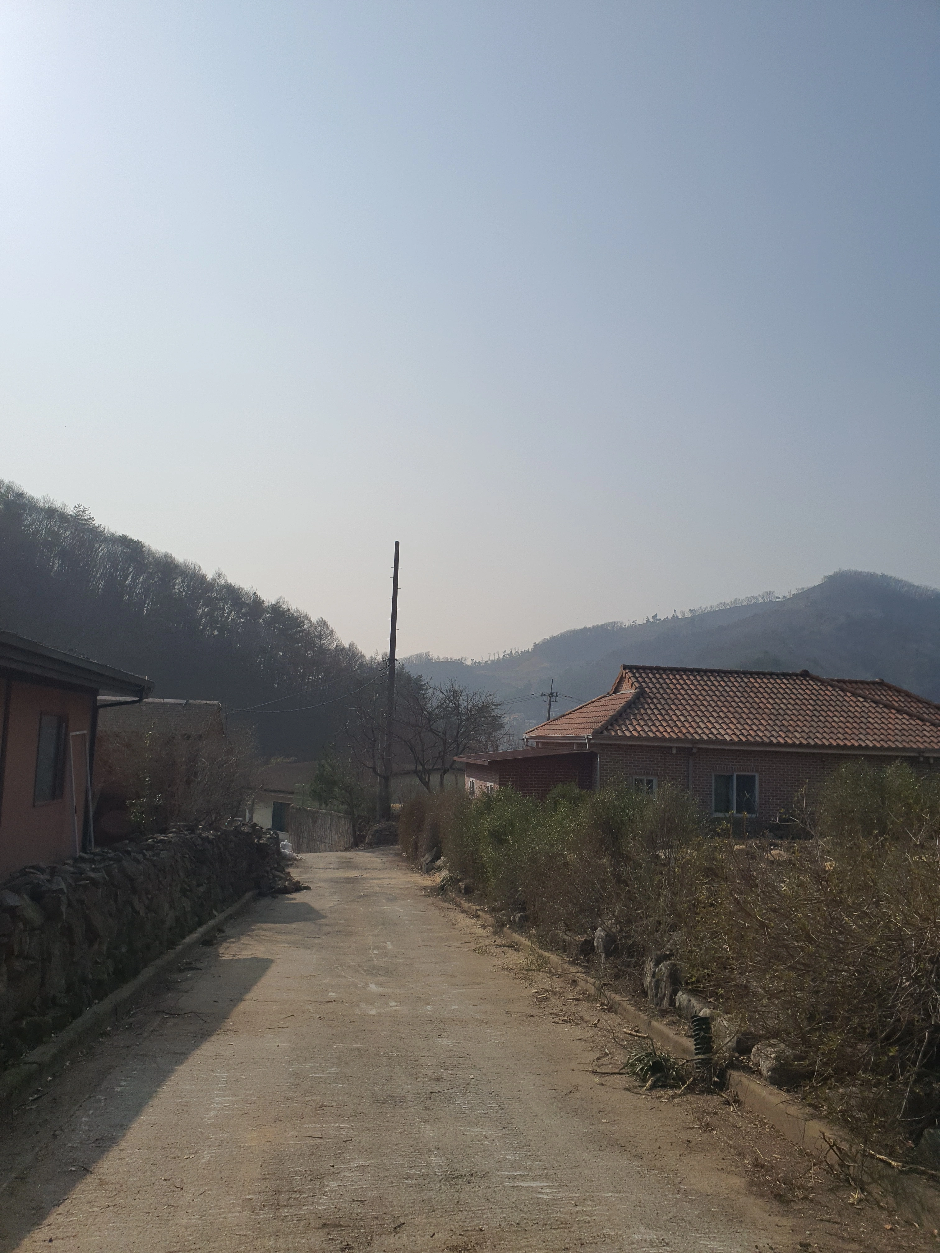 벌목작업 시공 — 벌목업체