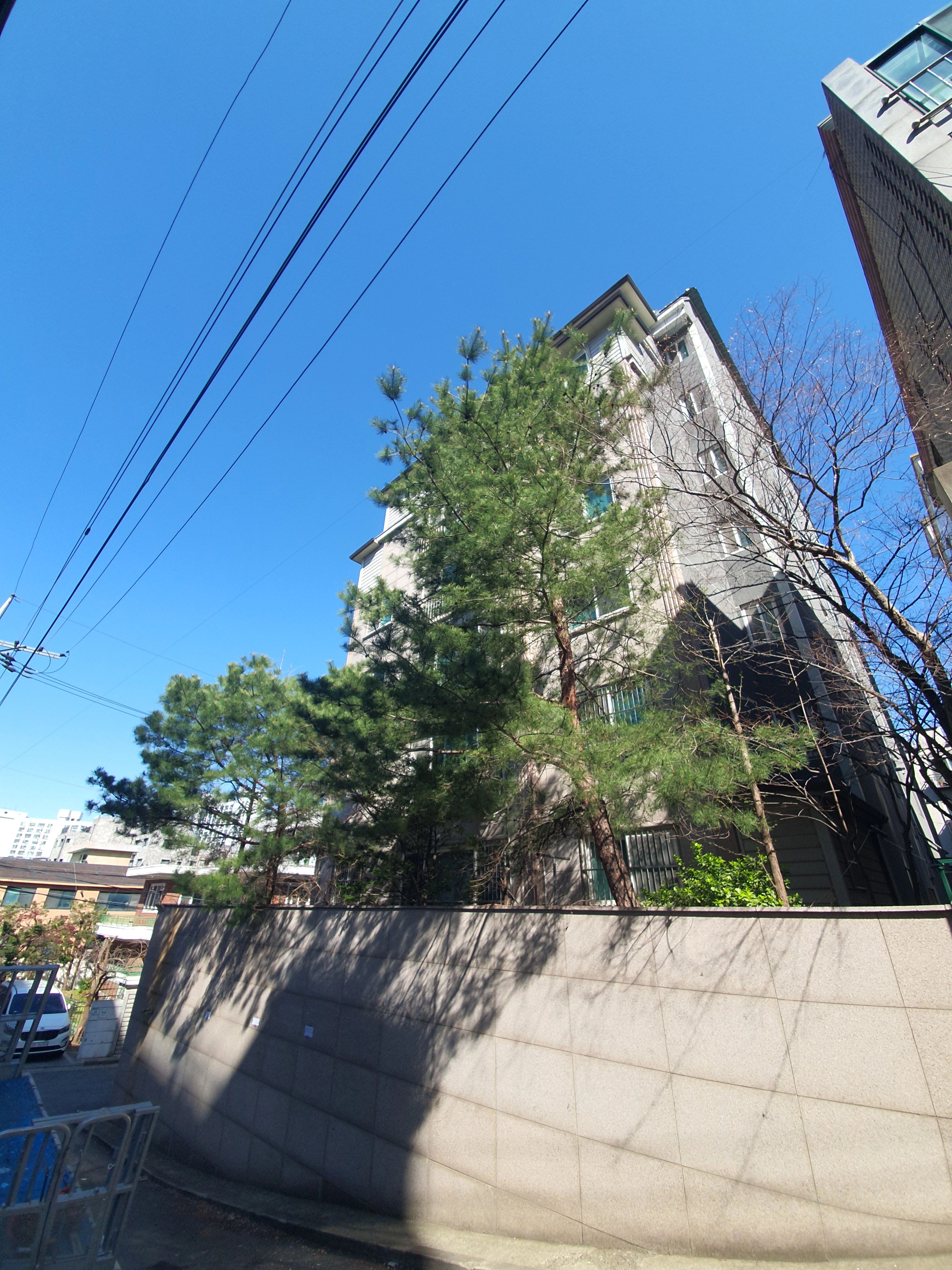 벌목작업 시공 — 벌목업체