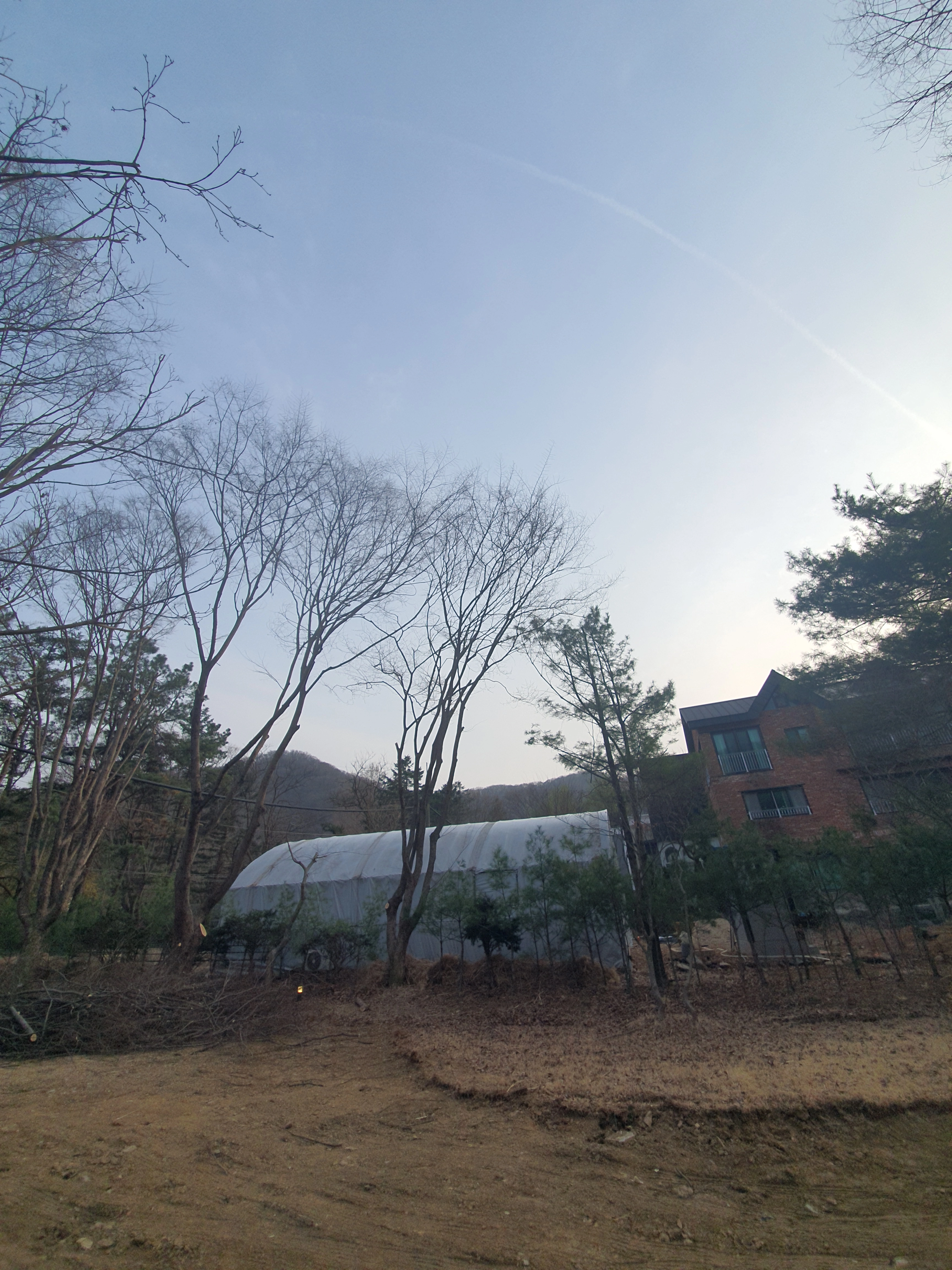 가지치기 시공 — 벌목업체